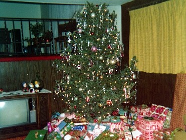 19741225a Burnham Holiday Christmas Tree Pets GiGi House Charwood Sterling Heights Michigan