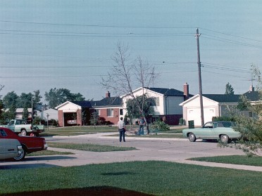 19760600a Burnham Yard Tree Removal House Charwood Sterling Heights Michigan