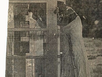 19760700a Boblenz Stiltwalkers Lexington Kentucky