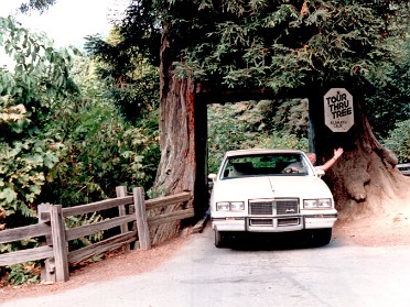 19861015b Burnham Sr Trip Western US