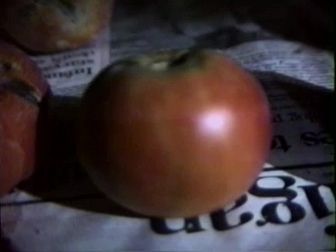 19880925a Burnham BBQ John Sr House Sanilac Road M46 Kingston Michigan