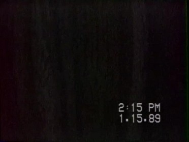 19890115a Burnham Birthday Bonnie 85th House Mair Sterling Heights Michigan