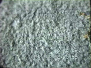 19890205a Burnham Birthday Pam 33rd House Apartment East Lansing Michigan