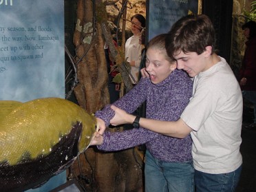 20010219a Burnham Trip John G Shedd Aquarium Chicago Illinois