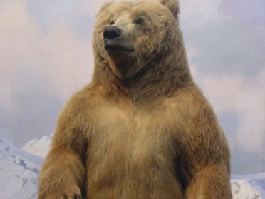 20010417g Burnham Szandzik Trip East Coast American Museum Of Natural History North America New York City