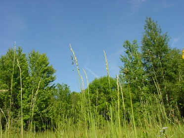 20020607a Burnham Trip Stony Creek Hiking Michigan