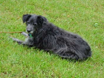 20020615b Burnham Trip Wolcott Mill Michigan