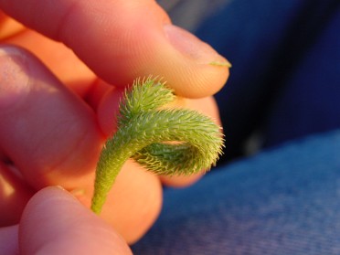 20020616a Burnham Trip Stony Creek Hiking Sunset Michigan