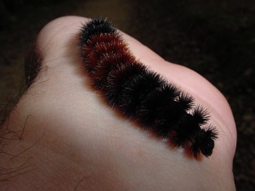 20021006a Burnham Trip Stony Creek Hiking Michigan