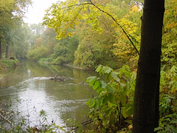 20021026a Burnham Trip Fall Foggy Morning Hike Clinton River Park Michigan