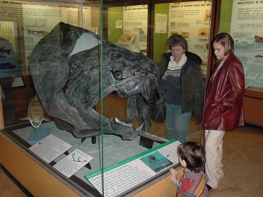 20030118a Burnham Trip Exhibit Museum Of Natutal History Ann Arbor Michigan