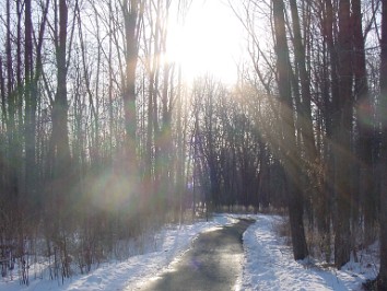 20030314a Burnham Trip Counting Down The Days Until Spring Clinton River Park Sterling Heights Michigan