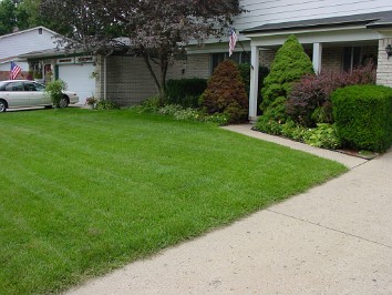20030809a Burnham Yard Lawn House Mair Sterling Heights Michigan