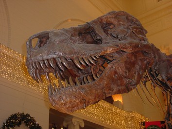 20031227c Burnham Szandzik Trip Field Museum of Natural History Chicago Illlinois