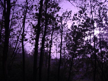 20040521a Burnham Trip Father Son Camping Holly State Recreation Area Lightning Approaching in the Night Sky