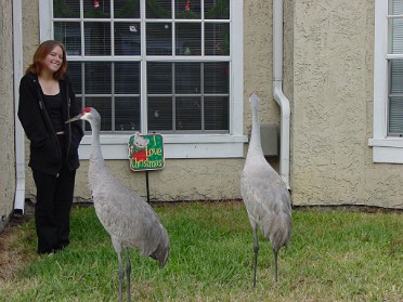 20041216a Burnham House Yard Little Black Riding Hoodie And The Sandhills