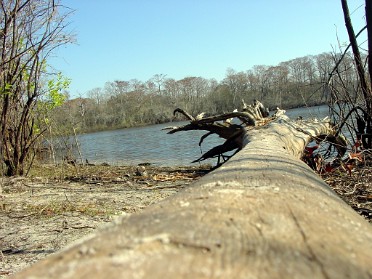 20050205b Burnham Trip Gulf Coast Touring Silver Lake Florida