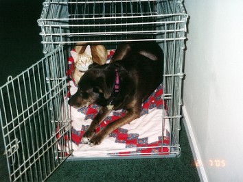 20050207a Blair Pets