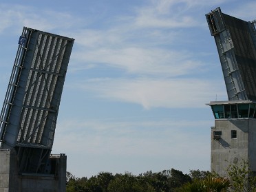 20050213b Burnham Trip Canaveral National Seashore Wildlife Florida