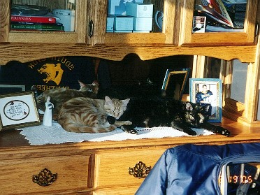 20050219f Blair Pets Cats