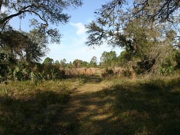 20050220aa Burnham Trip Gulf Coast Touring Crystal River Preserve State Park Eco-Walk Trail Florida