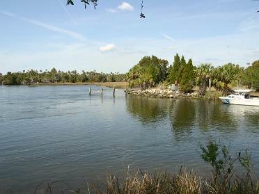 20050220ac Burnham Trip Gulf Coast Touring Crystal River Preserve State Park Saint Martins Marsh Aquatic Preserve Florida