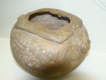 20050220a Burnham Trip Gulf Coast Touring Crystal River Preserve State Park Florida