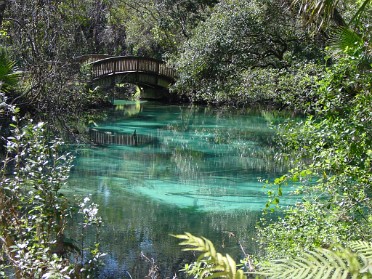 20050306b Burnham Trip Ocala National Forest Juniper Springs Florida