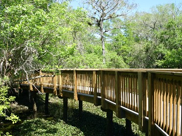 20050312c Burnham Trip Big Cypress National Preserve Kirby Storter Roadside Park Florida