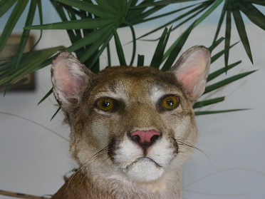 20050312e Burnham Trip Big Cypress National Preserve Oasis Visitor Center Florida