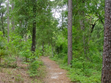 20060430a Burnham Trip Wekiwa Springs State Park Hiking Florida