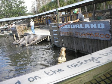20070107d Burnham Trip Gatorland Gator Jumparoo Florida