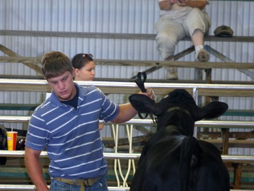 20070706a Mantey Trip Jacob Joel Marion County Fair Ohio