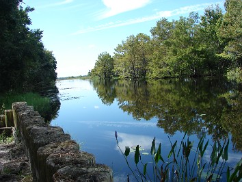 20071010b Burnham Work John Jr SVO Rewards And Recognition Nature Pix Moss Park Florida