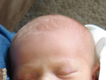 20080429a Boblenz Burnham Campbell Mantey McMahan Trip Pets Peyton Dean More Of The Young Dude Ohio