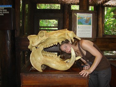 20080618d Burnham Campbell Trip Jamie Visiting Disney Animal Kingdom - Africa Florida