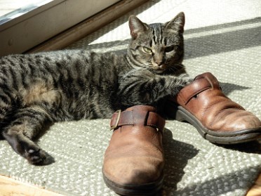 20080918a Blair Pet Pix