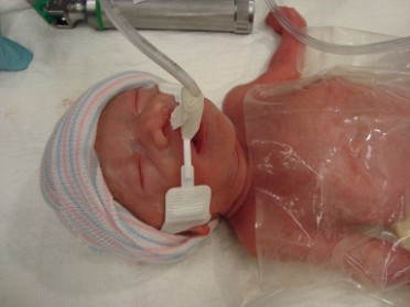 20091030b Campbell Trip Newborn Lily Renee Camera Pix Michigan