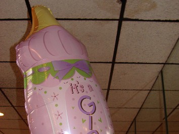 20091108a Baldwin Belan Blair Boblenz Burnham Campbell Mantey McMahan Prange Richardson Trip Friends Newborn Baby Shower Jamie Lily Renee Michigan