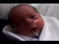 20091206a Campbell Lily Cell Phone Videos