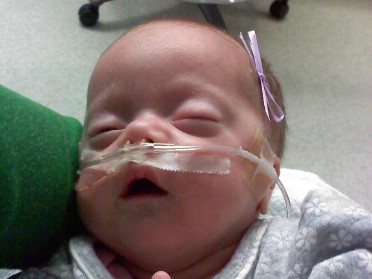 20091216b Campbell Young Lily-Kins Cell Pix