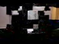 20091218a Campbell Lily Cell Phone Videos