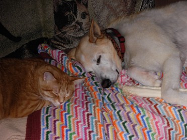 20091229a Blair Pets