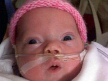 20100110a Campbell Lily Cell Phone Pix