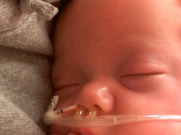 20100119a Campbell Latest Lily Pix