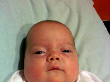 20100204a Campbell Pets Connie Catching Up On Lily Pix