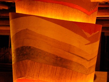 20100305a Burnham Trip Nikon Camera Exercise Fun Disney Animal Kingdom Lodge Florida