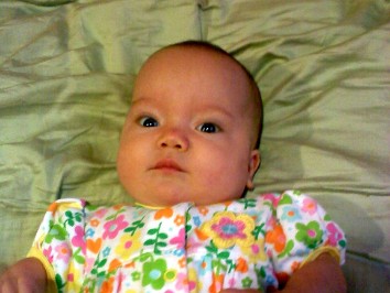 20100413a Campbell Pets Lily-Put At Play