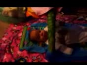 20100426a Lily Campbell Videos