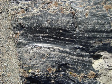 20101023c Montana Visiting Saturday Yellowstone Wyoming And Dan's House Bozeman Montana